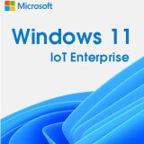 Windows 11 IoT Enterprise LTSC 2024 VALUE